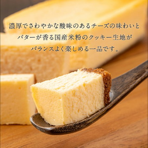 2523 オクタス チーズケーキ 1箱（ 250g × 1本 ） KN021-028-02 米 ケーキ