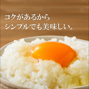 2525 温泉水 と こだわりのエサ で育った 鶏 が産んだ 美味しい 卵 20個（ 10個入 × 2パック ）※18個+破卵保障2個 KN021-035