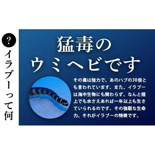 石垣島産「イラブー(海ヘビ)」粉末 120粒入り×２袋　　SI-73