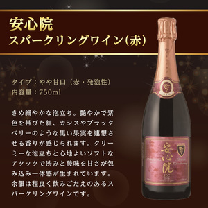 安心院スパークリングワイン白・赤(合計1.5L・750ml×2本)酒 お酒 ワイン 白ワイン 赤ワイン スパークリングワイン ぶどう 葡萄 飲み比べ セット【107302700】【時枝酒店】