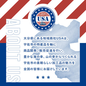 おおいた和牛 切り落とし THE USA Box/DX(500g×2P) 牛肉 黒毛和牛 A4 お肉【114004301】【一般社団法人　地域商社USA】