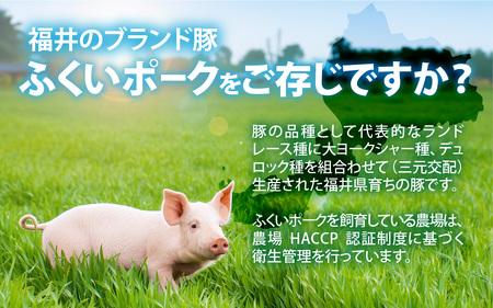 福井県内産ふくいポーク＜フライパンサイズ＞肩ロースまたはロース 2枚 約1kg [A-012009]