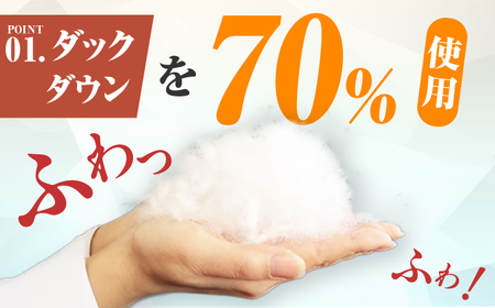 【初冬用】シングル掛け布団 羽毛1.0kg 色柄お任せ / 布団 寝具 ふとん [AFAO021]