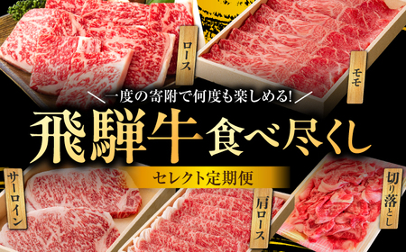 【5回定期便】飛騨牛 食べつくし 厳選セレクト定期便 サーロイン ロース モモ 切り落とし ステーキ すきやき しゃぶしゃぶ 国産 和牛 岐阜県 岐阜市/だるまミート[ANBE001]