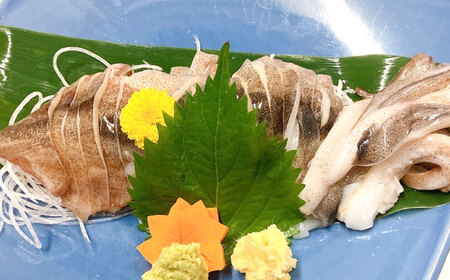 食事券 回転寿司魚喜 あぶり焼きSAKANAYA 共通お食事券 5000円分 [ANDC002] 食事券