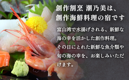 創作割烹潮乃美 利用補助券 5,000円 富山県 氷見市 宿泊 旅行 観光 宿泊券 チケット クーポン 海鮮