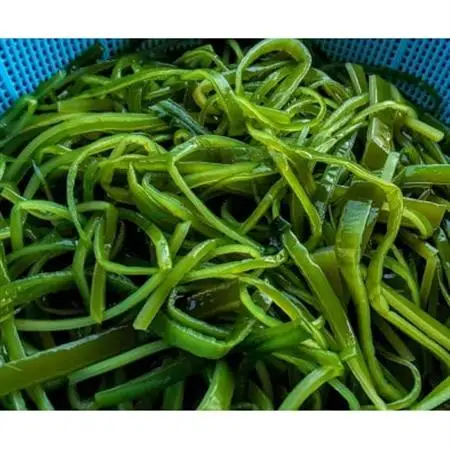 ごはんが進む!鳴門産茎わかめと春にんじんの佃煮(1袋180g×3個)【配送不可地域：離島】【1535504】