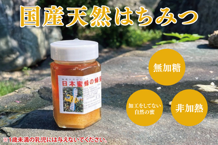 【先行予約】日本ミツバチの国産天然はちみつ 360g（180g×2本）(KH-2)