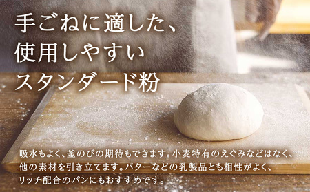 マンデーブランチ 1kg（250g×4） 強力粉 小麦粉