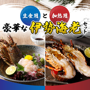 a40-075　伊勢海老 三昧セットA 刺身用＋焼物用