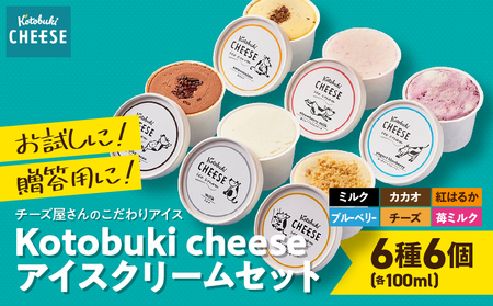 2556 Kotobuki cheese アイスクリーム セット 6種 KN087-007 アイス 菓子 ケーキ