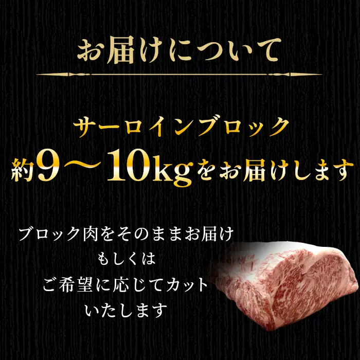 根羽こだわり和牛 サーロイン 半頭分 約9～10kg サーロイン ブロック肉　塊肉 塊 牛肉 国産牛 お祝い パーティ ステーキ 焼肉 BBQ 霜降り すき焼き しゃぶしゃぶ 大人数