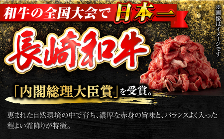 【全6回定期便】長崎和牛出島ばらいろ切り落とし（モモ、バラ、カタのいずれか）400g×2 計800g [RCI018] 長崎和牛 切り落とし 長崎和牛 切り落とし九州 長崎
