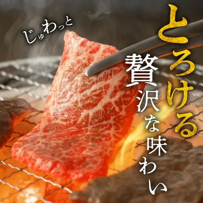 松阪牛焼肉 特選カルビ 500g [ 松阪牛 ] / 3-56