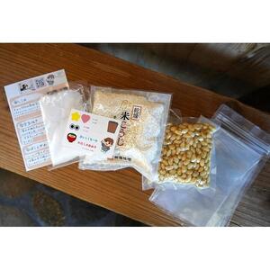 超カンタンみそづくりキット（出来上がり約600g）【味噌 みそ 手作り味噌 キット 調味料 麹 こうじ 大豆 国産 愛知県 豊田市】