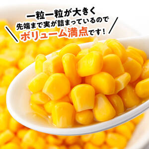 【令和8年発送】宮崎県産とうもろこし　スイートコーン「ゴールドラッシュ」3L×5本【新鮮 農家直送 トウモロコシ 産地直送 季節限定 期間限定 宮崎県産 九州産】
