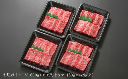 飛騨牛 赤身焼肉 600g 黒毛和牛 和牛 飛騨高山ミート [MZ006]