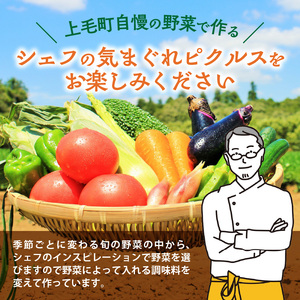 ピッツェリア フィエロ特製 シェフのおまかせピクルス 3本 _K05606