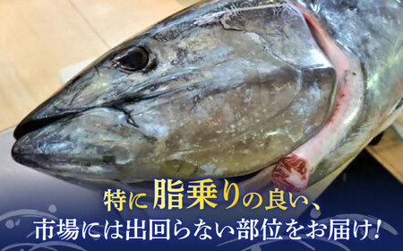 【全3回定期便】まぐろ おまかせバーベキューセット 冷凍約3kg 鮪 マグロ BBQ 魚 横須賀【横須賀商工会議所 おもてなしギフト事務局（本まぐろ直売所 横須賀本店）】 [AKAK032]