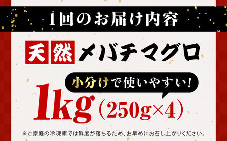 【全6回定期便】まぐろ ねぎとろ 約1kg（約250g×4パック） 鮪 マグロ 魚 ネギトロ 横須賀【横須賀商工会議所 おもてなしギフト事務局（本まぐろ直売所 横須賀本店）】 [AKAK036]
