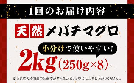 【全12回定期便】まぐろ ねぎとろ 約2kg（約250g×8パック） 鮪 マグロ 魚 ネギトロ 横須賀【横須賀商工会議所 おもてなしギフト事務局（本まぐろ直売所 横須賀本店）】 [AKAK040]