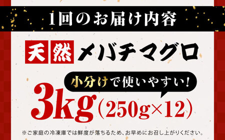 【全3回定期便】まぐろ ねぎとろ 約3kg（約250g×12パック） 鮪 マグロ 魚 ネギトロ 横須賀【横須賀商工会議所 おもてなしギフト事務局（本まぐろ直売所 横須賀本店）】 [AKAK041]
