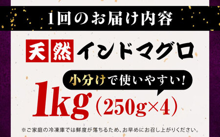 【全12回定期便】天然 まぐろ ねぎとろ 約1kg（約250g×4パック） 鮪 マグロ 魚 ネギトロ 横須賀【横須賀商工会議所 おもてなしギフト事務局（本まぐろ直売所 横須賀本店）】 [AKAK046]