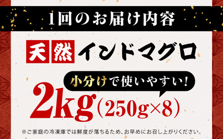 【全3回定期便】天然 まぐろ ねぎとろ 約2kg（約250g×8パック） 鮪 マグロ 魚 ネギトロ 横須賀【横須賀商工会議所 おもてなしギフト事務局（本まぐろ直売所 横須賀本店）】 [AKAK047]