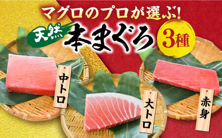 【全3回定期便】天然 本まぐろ 大トロ・中トロ・赤身（約200ｇ×6柵）約1200ｇ  鮪 マグロ 魚 刺身 横須賀【横須賀商工会議所 おもてなしギフト事務局（本まぐろ直売所 横須賀本店）】 [AKAK077]