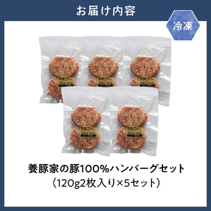 養豚家の豚100％ハンバーグセット 120g2枚入りパック×5セット計10枚