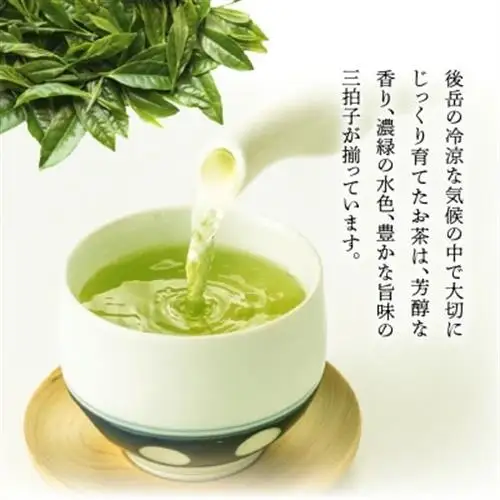かごしま知覧茶5本セット【1185866】