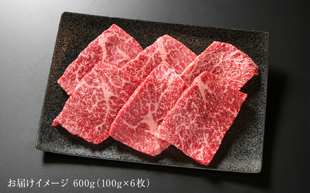 飛騨牛 赤身ステーキ 600g 黒毛和牛 和牛 飛騨高山ミート [MZ018]