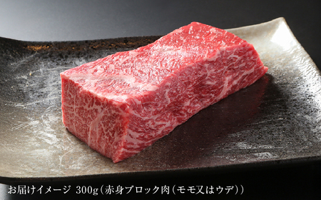 飛騨牛 赤身ブロック[塊] 300g 黒毛和牛 和牛 飛騨高山ミート [MZ020]