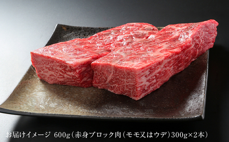 飛騨牛 赤身ブロック[塊] 600g 黒毛和牛 和牛 飛騨高山ミート [MZ021]