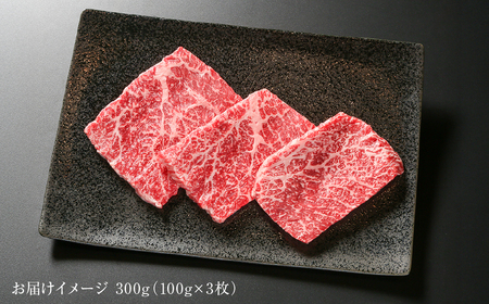 飛騨牛 赤身ステーキ 300g 黒毛和牛 和牛 飛騨高山ミート [MZ025]