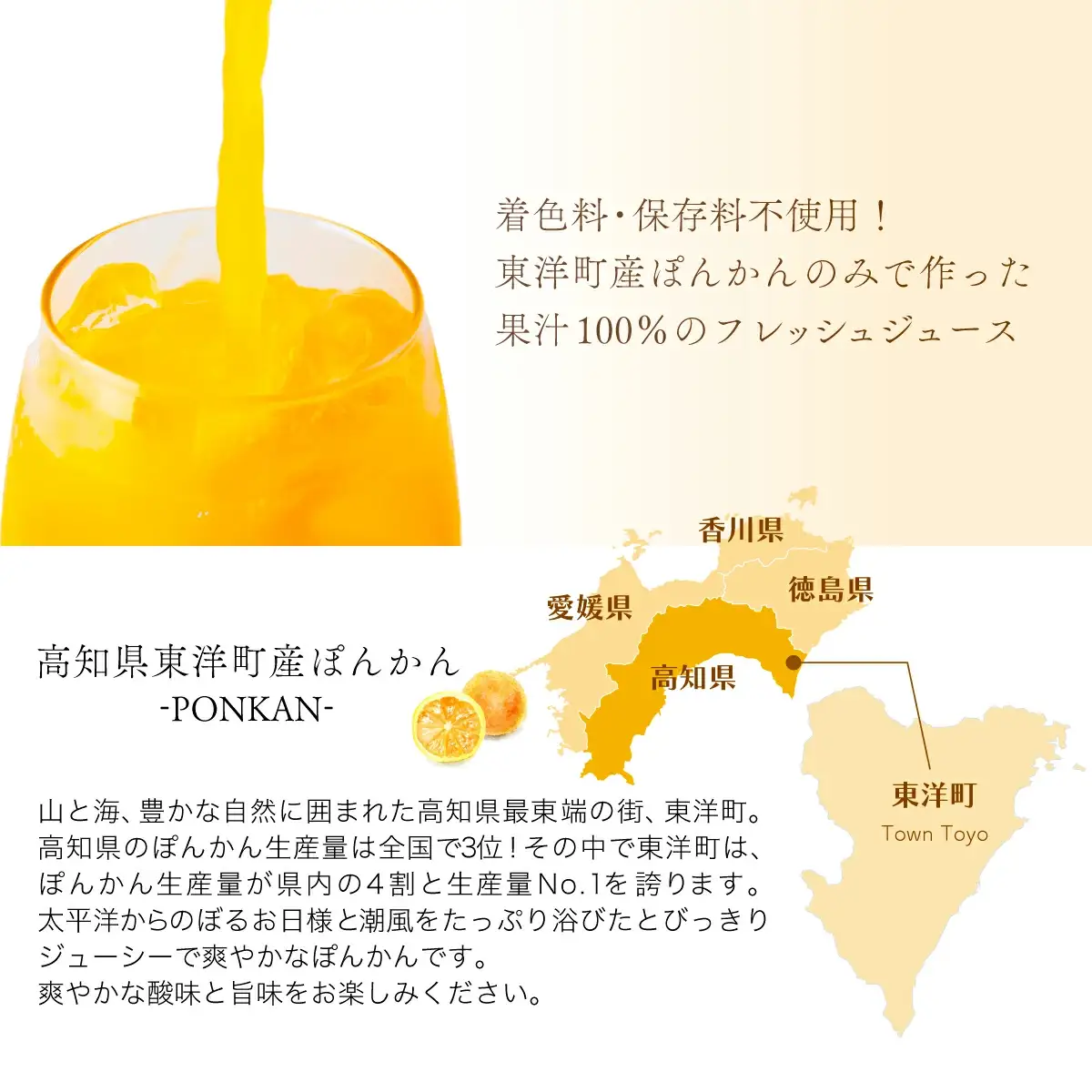 ぽんかんジュース180ml 6本入り 国産 東洋町産 果汁100% フレッシュジュース 酸味 着色料保存料不使用 四国 お取り寄せ フルーツ 果汁飲料 送料無料 F136 【株式会社フクチャンFARM】