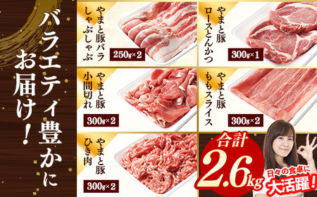 岩手県産やまと豚5種約2.6kg 国産 肉 豚肉 真空パック 小分け