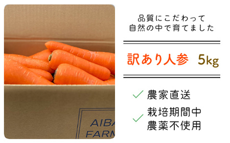 【12月～2月発送】【栽培期間中農薬不使用】訳あり人参５㎏ AIBA FARM　Ｂ品 / 野菜 やさい にんじん 人参 ニンジン 名産 特産 甘い 美味しい 訳あり 不揃い B級 健康 ヘルシー フードロス AIBA FARM アイバファーム 千葉県 富里市 TML006
