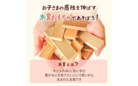 森のドミノさん【専用収納木箱付きドミノピース】