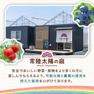 フルーツトマトジュース 720ml 2本入りトマト ジュース 常温 【トマトジュース】【ho1373】