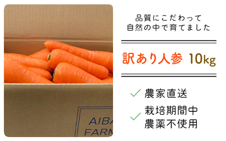 【12月～2月発送】【栽培期間中農薬不使用】訳あり人参１０㎏ AIBA FARM Ｂ品 / 野菜 やさい にんじん 人参 ニンジン 名産 特産 甘い 美味しい 訳あり 不揃い B級 健康 ヘルシー フードロス AIBA FARM アイバファーム 千葉県 富里市 TML007