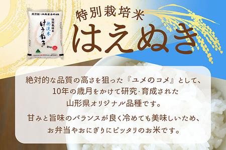 【6か月定期便】庄内米 特別栽培米 はえぬき 無洗米 2kg 毎月 2kg×1袋 令和7年産 / 令和8年産 ブランド米 米 山形 庄内平野 コシヒカリの原点、亀の尾発祥の地 庄内 お米の定期便【7月中旬発送/入金期限：2026年6月25日】