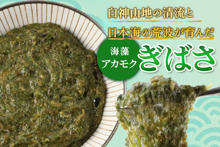 ぎばさ(アカモク) 100gパック入り×6個 計600g