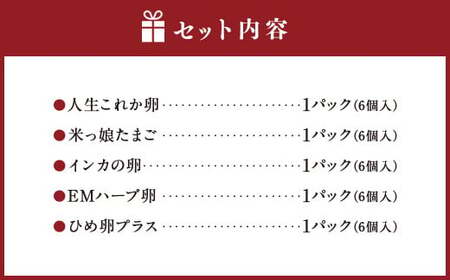 はじめての食べ比べ セット 6個 × 5種類 （内割れ保証5個､各種1個ずつ） たまご 卵 玉子 タマゴ 国産 愛媛県産 【えひめの町（超）推し！（内子町）】 （476）