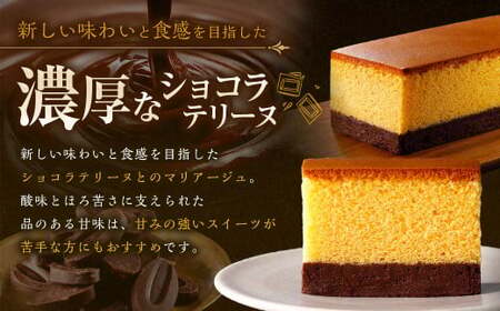 【14営業日以内発送】長崎カステリーヌ・ショコラ 1本 約220g ／ スイーツ デザート カステラ おかし 菓子 おやつ チョコレート ショコラ テリーヌ ご当地スイーツ かすてら テリーヌ 長崎県 長崎市