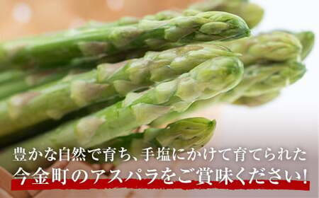 【訳あり】朝採れ新鮮アスパラ 1kg（S～2Lサイズ混合） (2026年3月下旬~6月中旬または2026年7月上旬~9月上旬頃発送)  菜 北海道産 バーベキュー BBQ キャンプ 旬野菜 ワケあり わけあり アスパラガス 栄養満点 冷蔵発送  アスパラ 食品 北海道 今金町 F21W-318