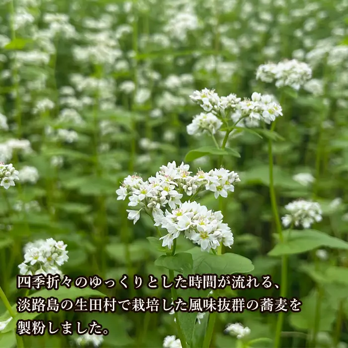 淡路島のそば粉 1.5kg（500g×3袋）