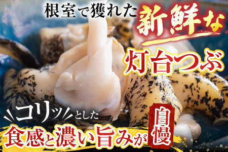 【北海道根室産】灯台つぶ200g×2P(計400g) G-20002