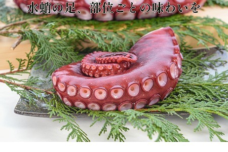 【北海道根室産】ボイル水たこ足先3P(計1kg) A-20008