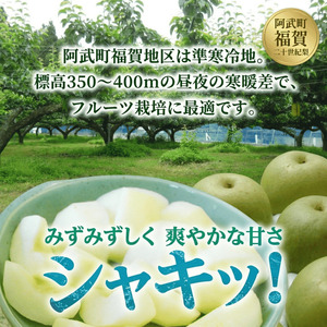 【先行予約】福賀の二十世紀梨 約3kg（7玉） 阿武町産 高糖度＆安心栽培 昼夜の寒暖差が生むシャキシャキ食感 数量限定 なし 梨 ナシ フルーツ 果物 旬 《お届け：2026年8月下旬～9月中旬頃出荷》 山口県 阿武町産 デザート
